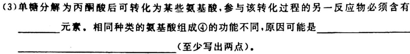 ［耀正优］安徽省2025届高二10月联考生物学试题答案