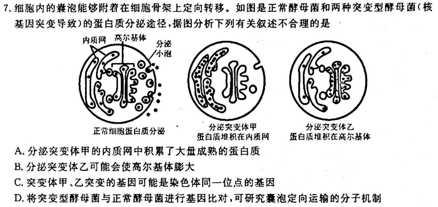 江西省南昌县2023-2024学年度第一学期七年级期中考试生物学试题答案