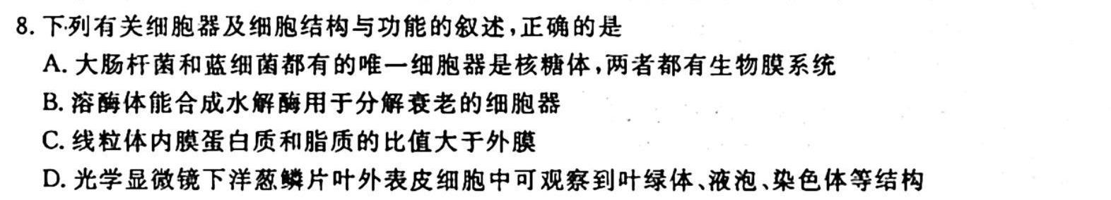 2024届全国高考分科模拟检测示范卷(4)生物