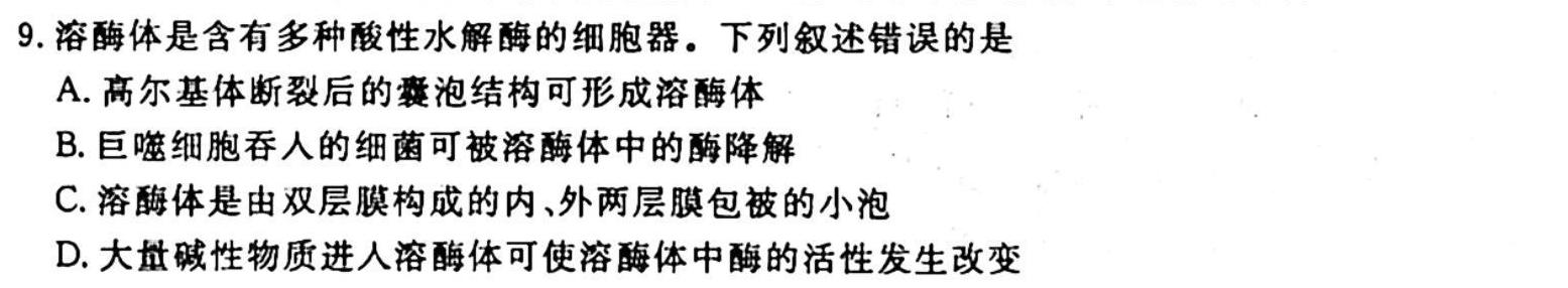 河北省2023-2024学年高二上学期期中考试(人形图标 HEB)生物学试题答案