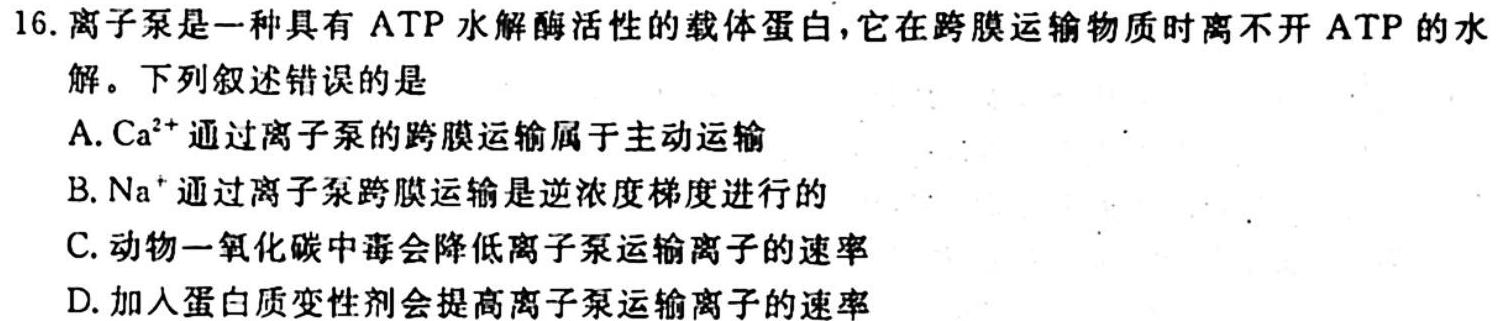 河北省高一年级选科调考第一次联考(箭头下面加横杠 HEB)生物学试题答案