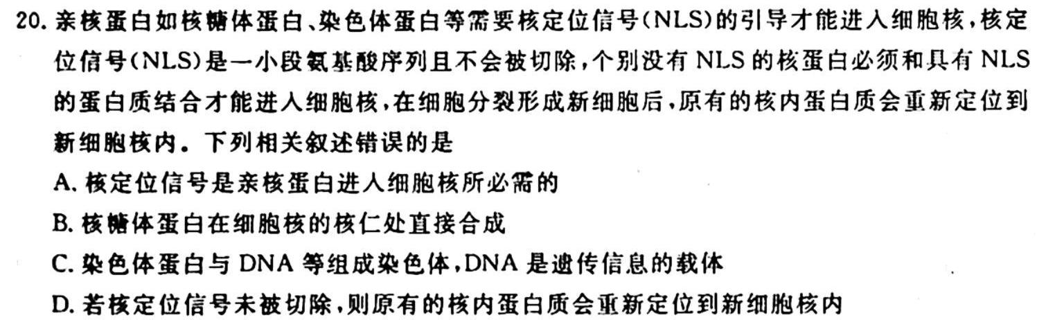 1号卷·A10联盟2026届高一上学期11月联考生物