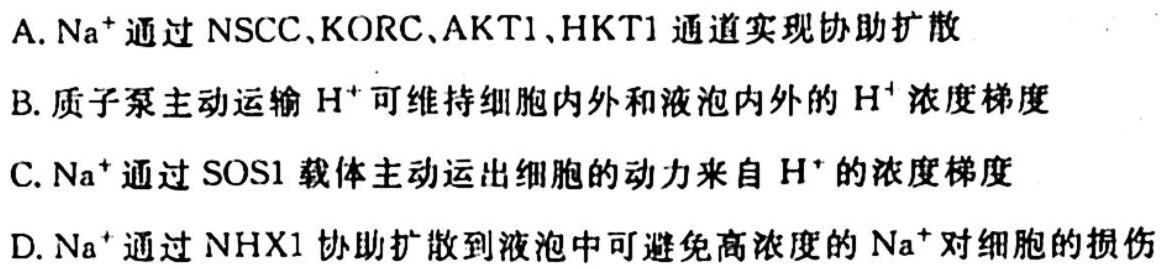 天一大联考 2023-2024学年高二年级阶段性测试(一)1生物学试题答案