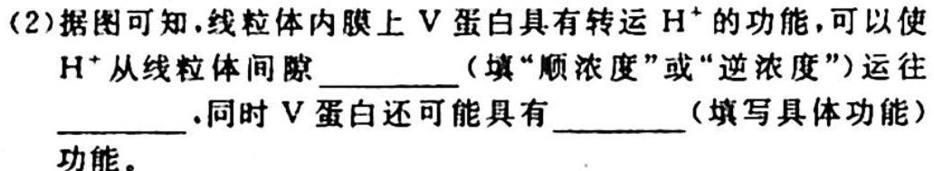 2023-2024学年江西省高二试卷10月联考(◆)生物学试题答案