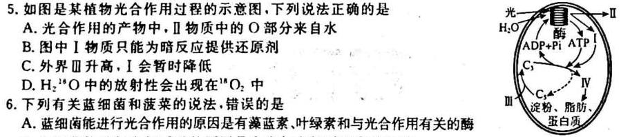 江西省2023-2024学年度（上）高一年级第一次月考试卷生物学试题答案