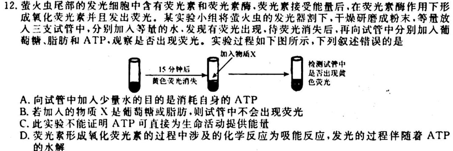 辽宁省2023-2024学年高一年级10月联考生物学试题答案