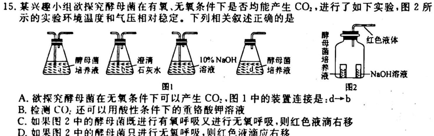 2024届吉林省高三试卷10月联考(24-77C)生物学试题答案