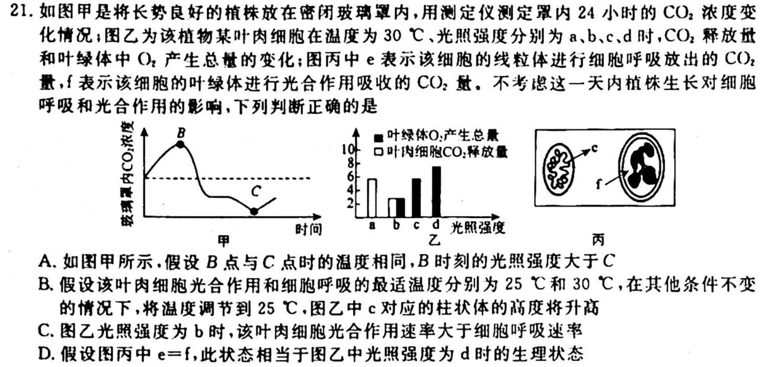 陕西省2023-2024学年度第一学期七年级课后综合作业（一）A生物学试题答案