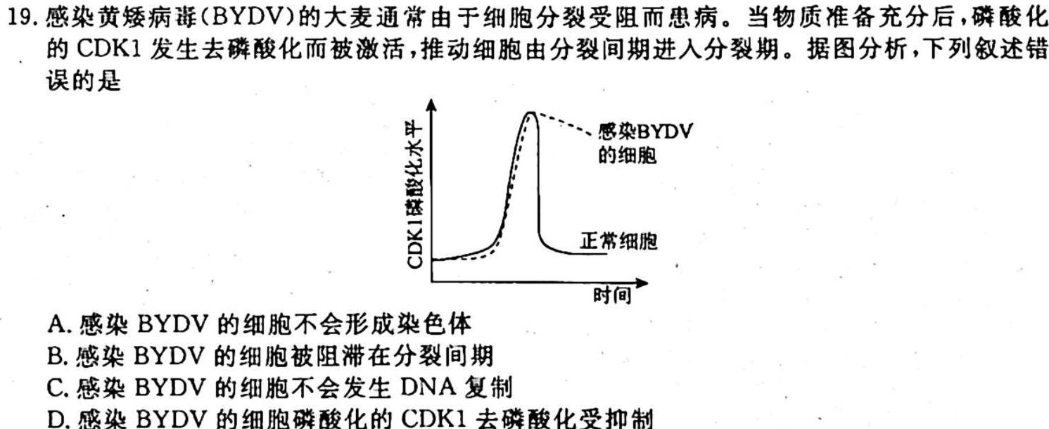 2023年11月绍兴市高三选考科目诊断性考试生物学试题答案