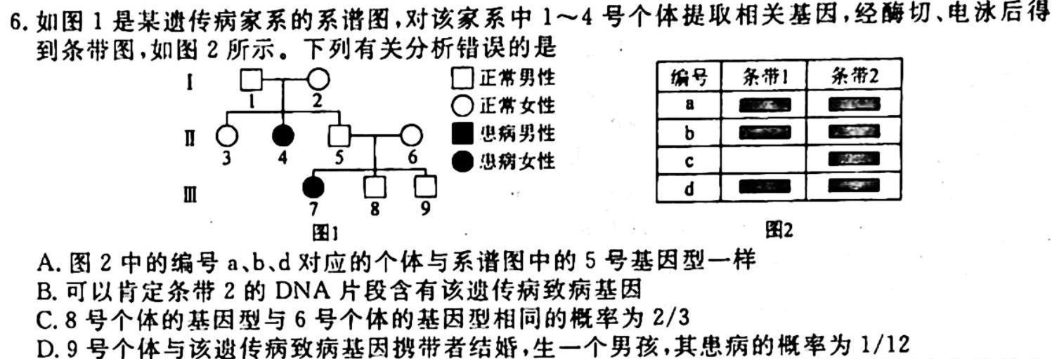 金科大联考·2023~2024学年度高一年级10月质量检测(24051A)生物