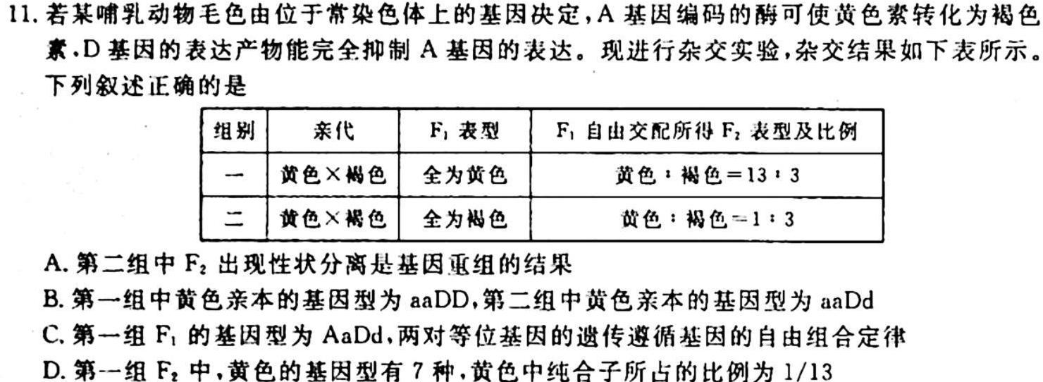 1号卷 A10联盟2024届高三上学期11月段考生物