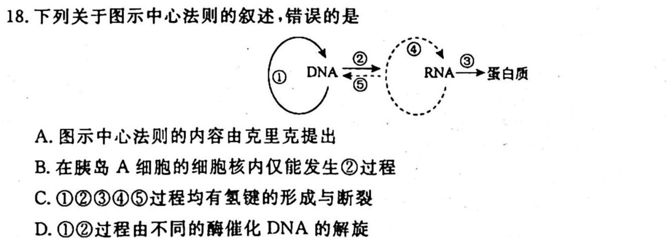 三晋卓越联盟·山西省2023-2024学年高二10月质量检测生物学试题答案