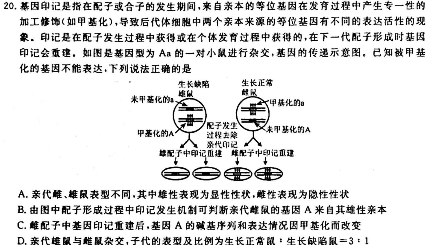 江西省2023-2024学年度八年级上学期期中综合评估【2LR】生物