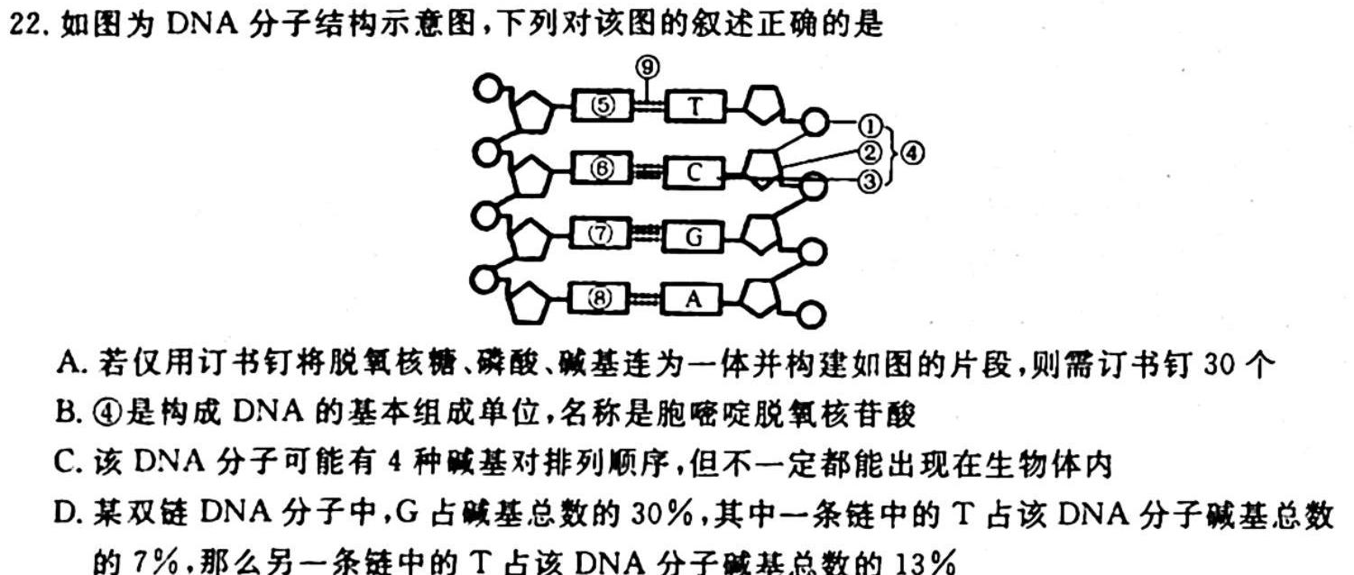 ［金科大联考］山西省2023-2024学年度高一10月质量检测（24051A）生物学试题答案