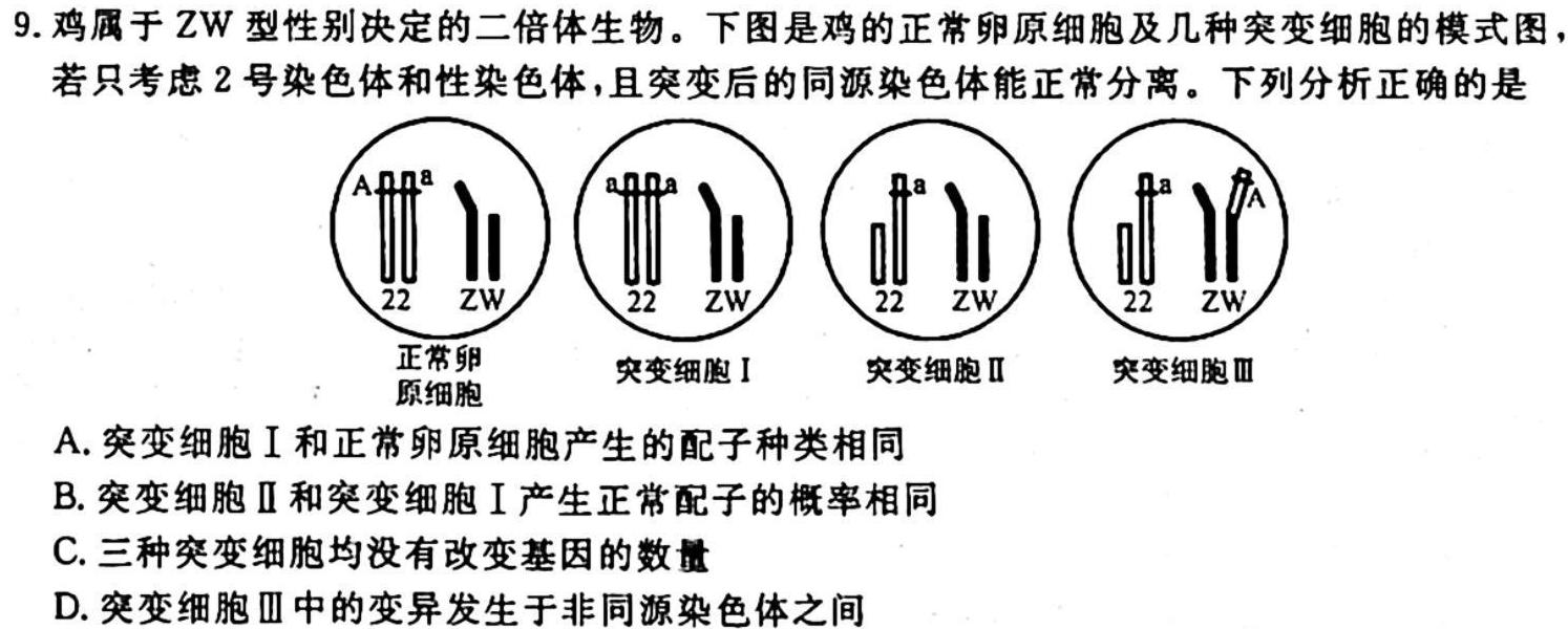 辽宁省2023-2024学年度上学期七年级阶段练习（一）生物学试题答案