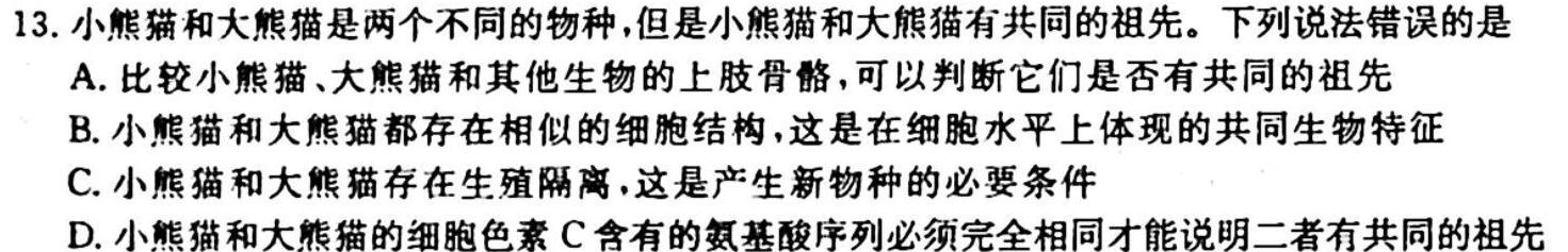 1号卷·A10联盟2025届高二上学期11月联考生物学试题答案