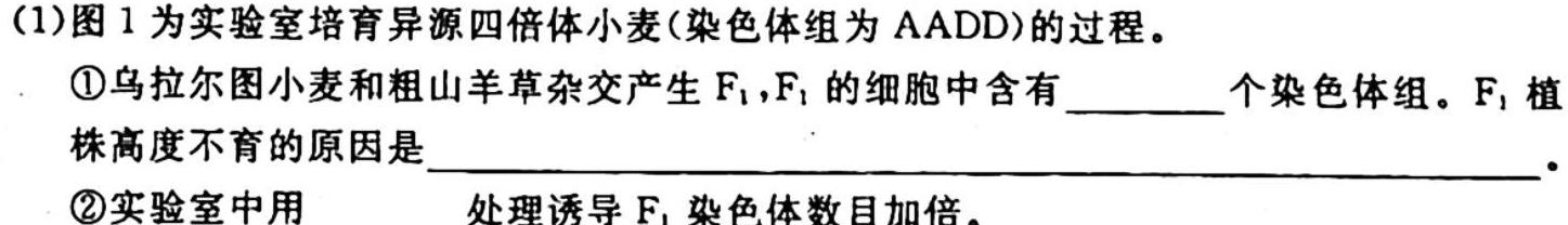 2024届全国名校高三单元检测示范卷(六)生物