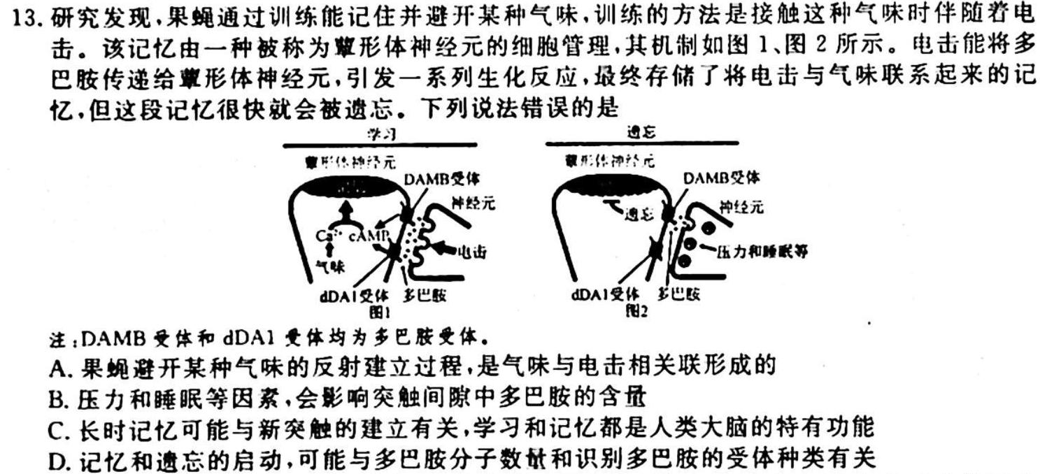 安徽省2023-2024学年度九年级上学期期中综合评估【2LR】生物