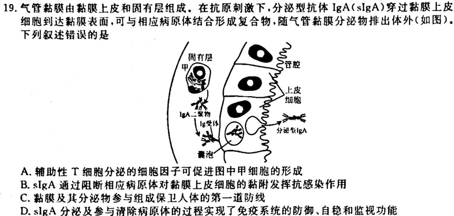 广东省2023~2024学年高二10月联考(24-74B)生物试卷答案