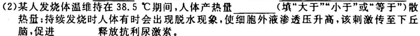 铭师·名卷2023-2024学年安徽县中联盟高一10月联考（4048A）生物学试题答案