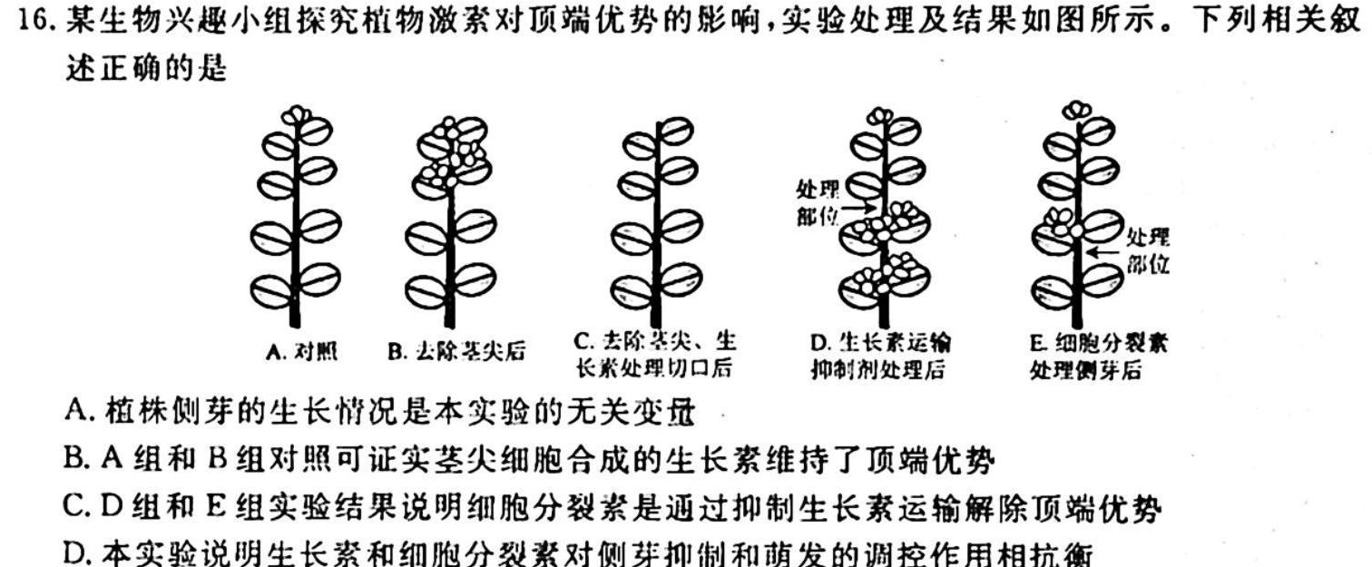安徽省芜湖市2024届九年级阶段检测调研（一）生物
