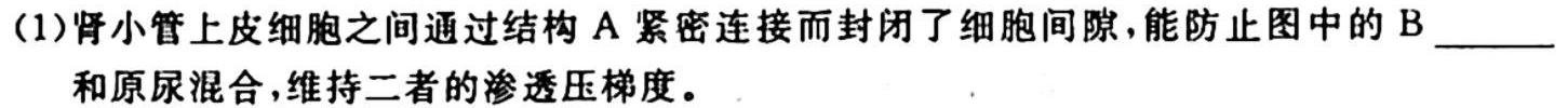 四川省2024届高三10月联考生物