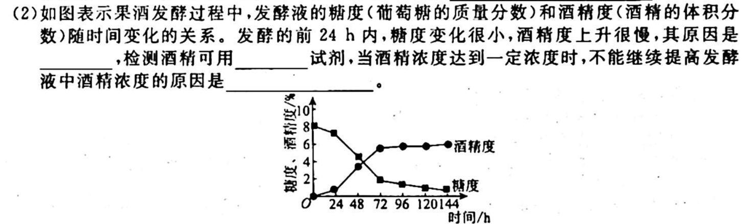 陕西省2025届高二第一学期月考(24120B)生物