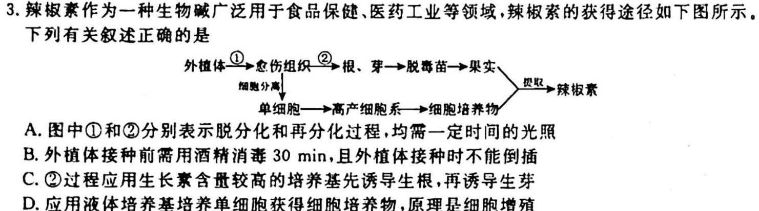 河南省新高中创新联盟TOP二十名校高一年级11 月调研考试(241100D)生物学试题答案