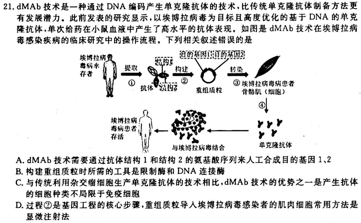 广东省2024届九年级期中综合评估[2LR]生物