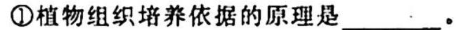 2024届全国名校高三单元检测示范卷(十二)生物