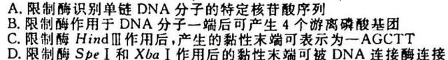 安徽省2023-2024学年度七年级上学期阶段性练习(一)生物