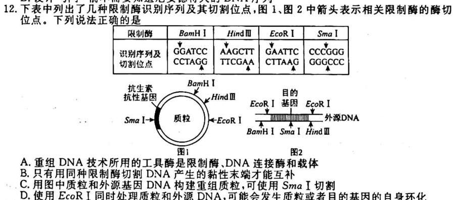 九师联盟·2024届高三10月质量检测巩固卷(LG）生物