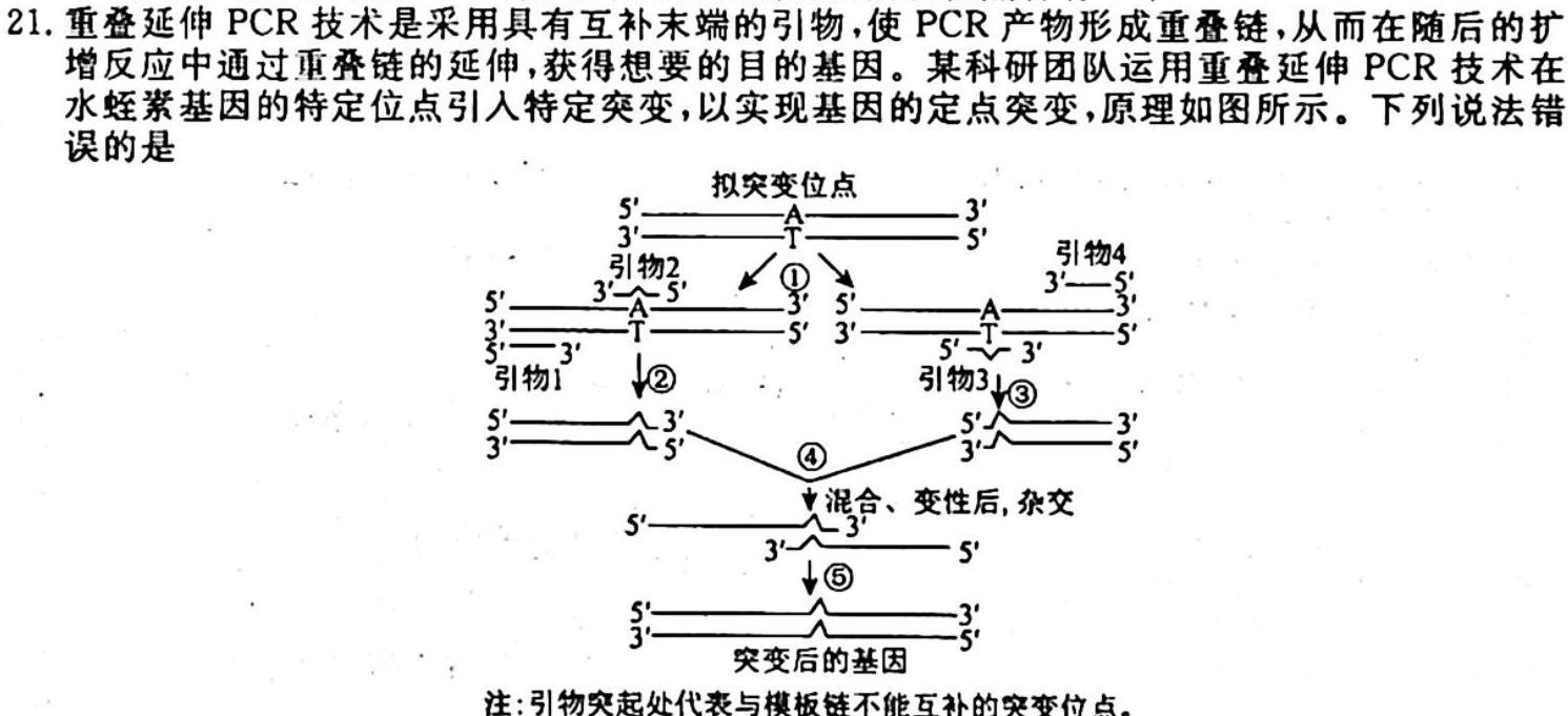 [国考1号5]第5套 2024届高三阶段性考试(二)生物学试题答案