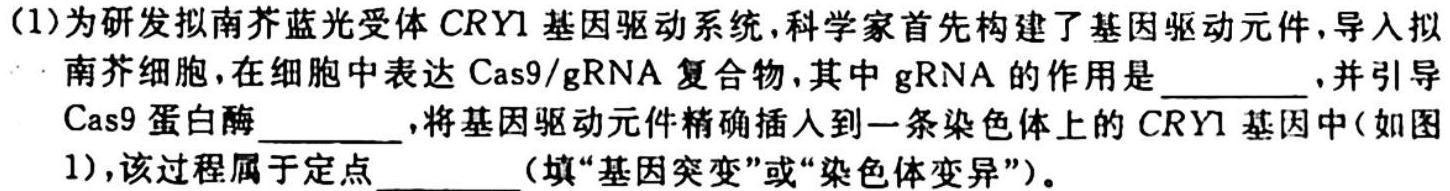 云南省2023-2024学年秋季学期八年级基础巩固卷(一)1生物