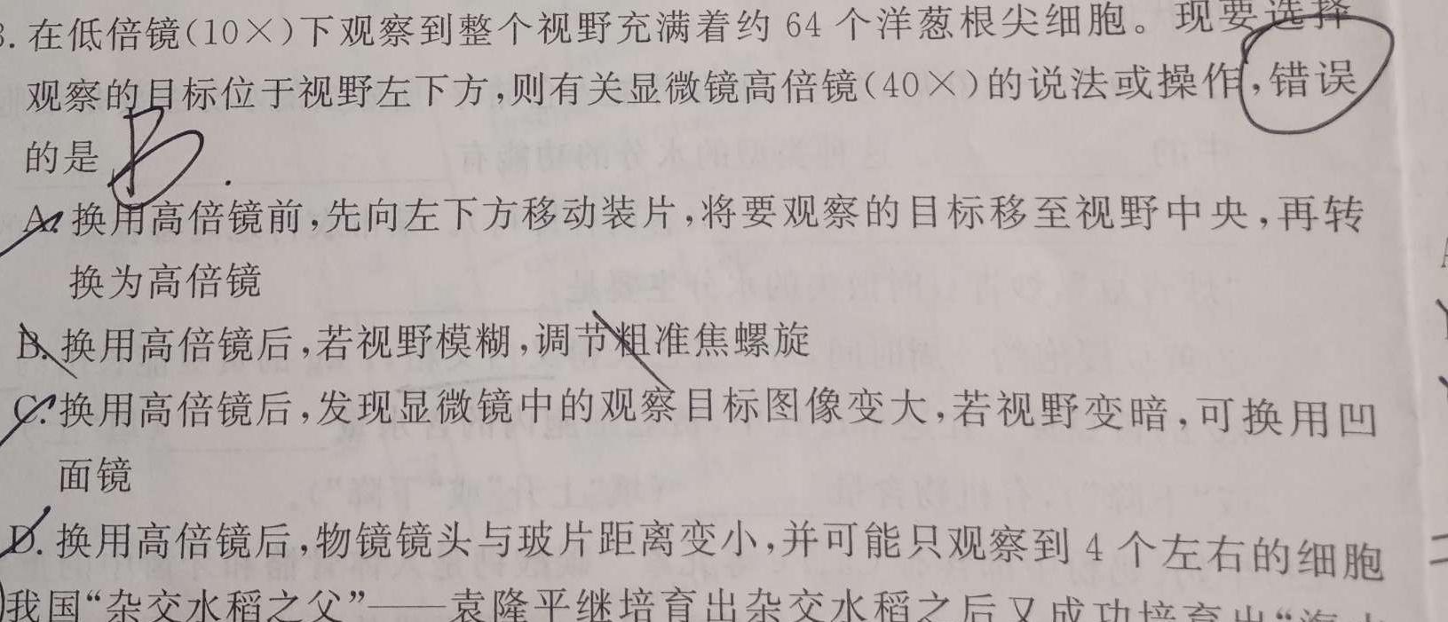遵义第一组团2025届高二上学期第一次质量监测生物试卷答案