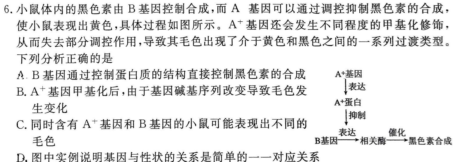 衡中同卷 2023-2024学年度高三一轮复习滚动卷(三)生物