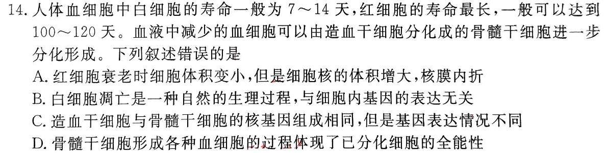 ［河北大联考］河北省2025届高二年级上学期10月联考生物