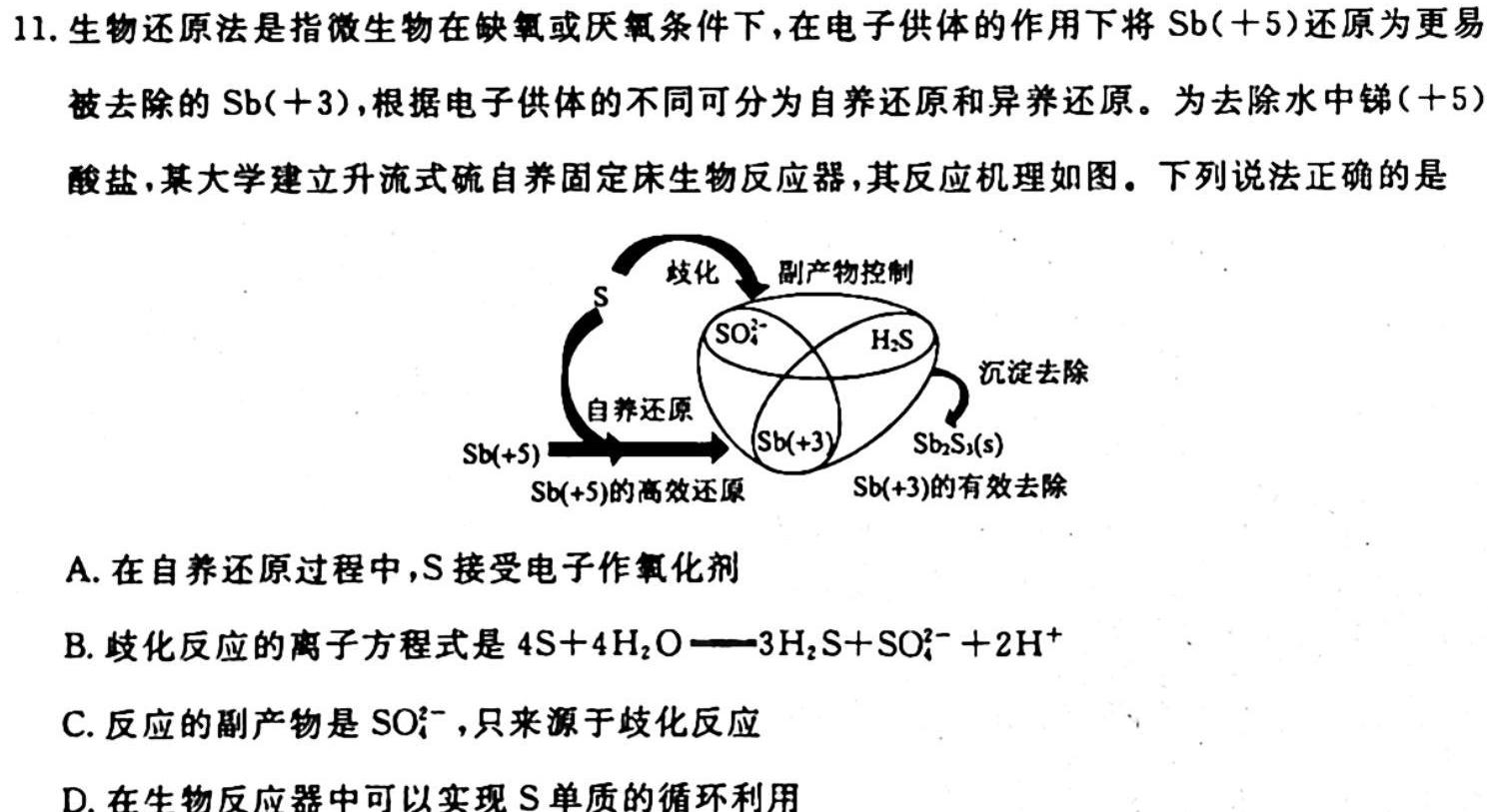 1河南省2023-2024学年高一年级上期期中联考化学试卷答案