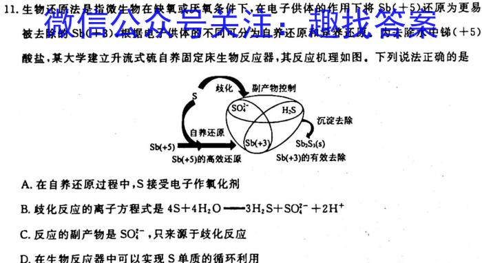 q2024届全国名校高三单元检测示范卷(二)化学