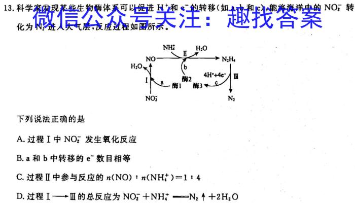 1江西省2023一2024学年九年级高效课堂练习（二）化学