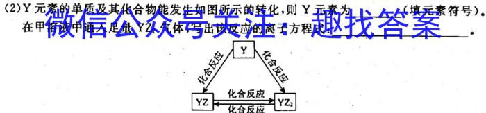 q2023-2024学年山东省高一"选科调考"第一次联考(箭头SD)化学