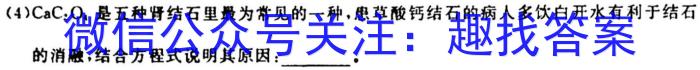 q天一大联考2023-2024学年高中毕业班阶段性测试（二）化学