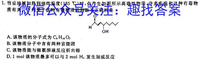 f河南省2023-2024学年度九年级大联考阶段评估卷（一）化学