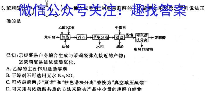 q安徽省六安市某校2024届上学期初三阶段性目标检测（二）化学