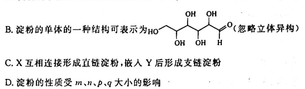 1安徽省包河区2023-2024学年第一学期八年级巩固性练习化学试卷答案