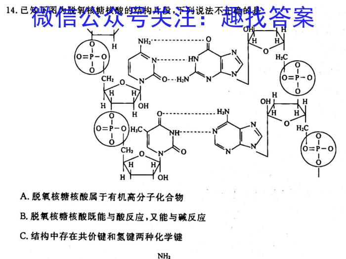 q江西省2023-2024年度八年级上学期高效课堂（二）化学