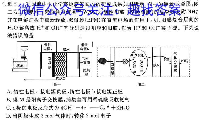 f2024年衡水金卷先享题高三一轮复习夯基卷(广东专版)一化学