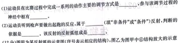 河南省2023-2024学年七年级第一学期学情分析一（A）生物学试题答案