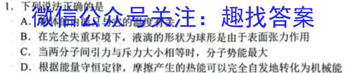 河南省2023-2024学年第一学期八年级期中测试f物理