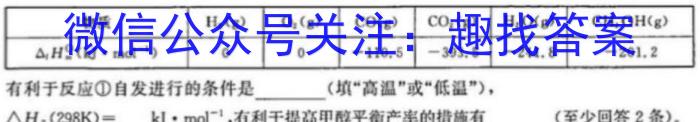 q陕西省2024届九年级期中教学素养测评（二）化学